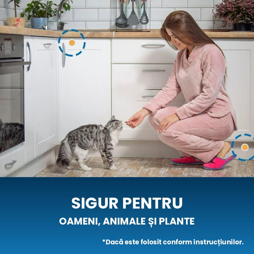 Protecția Casei Fără Gândaci