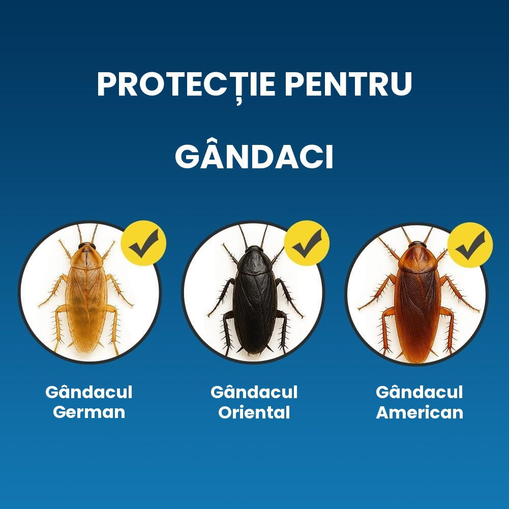Protecția Casei Fără Gândaci
