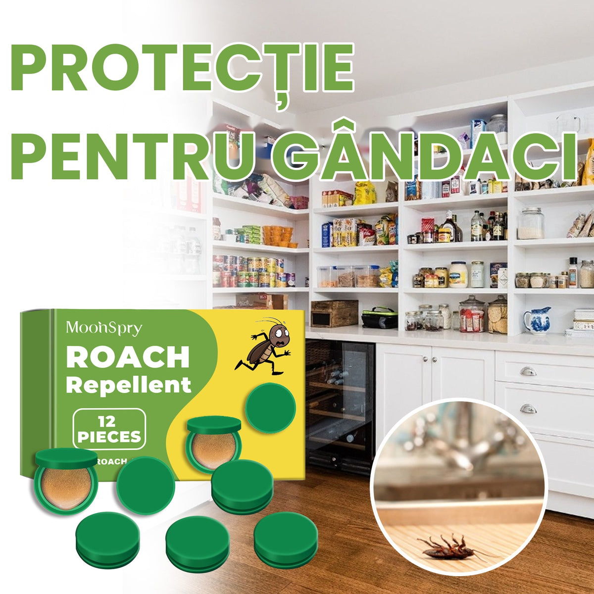 Protecția Casei Fără Gândaci