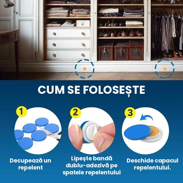Protecția Casei Fără Gândaci